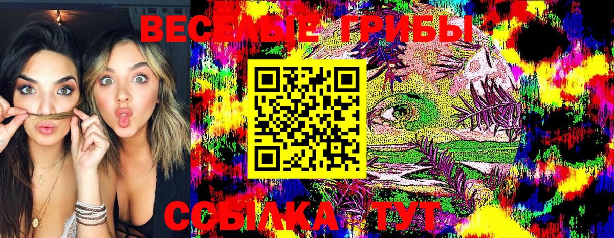 Галлюциногенные грибы GOLDEN TEACHER Сосновоборск